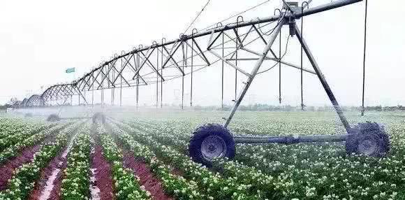 以色列農業技術開發 如何實現'一分耕耘，十分收獲'