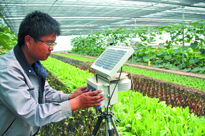 農業技術在水果種植中的創新應用與發展前景